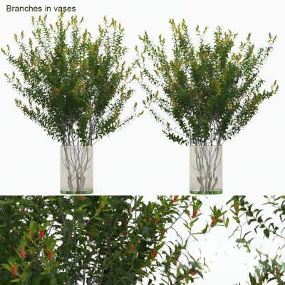 现代玻璃花瓶 绿植 花卉植物